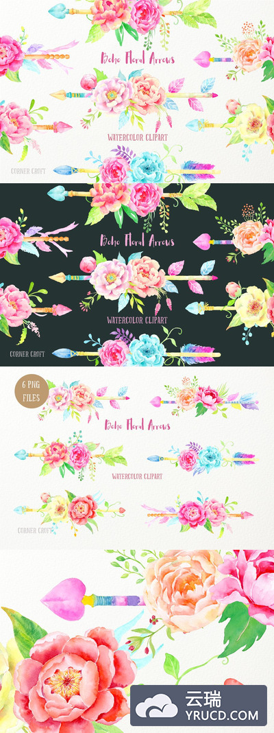 水彩牡丹插画 Watercolor Boho Peony Arrow