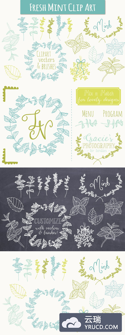 简单的植物花卉素材 Mint Clip Art & Vectors