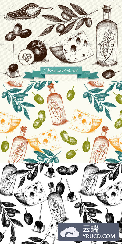经典橄榄插画素材 Vintage Olive Illustrations Set