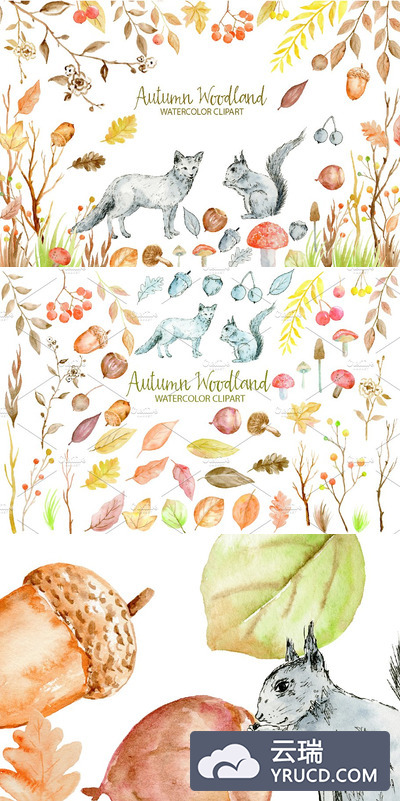 秋季森林水彩元素 Watercolor Clipart Autumn Woodland