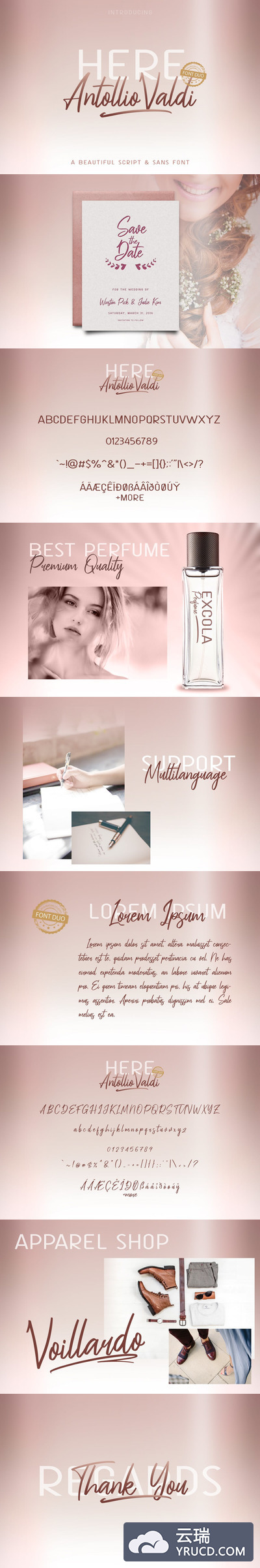 时尚高端优雅多用途的高品质Antollio VALDI英文字体