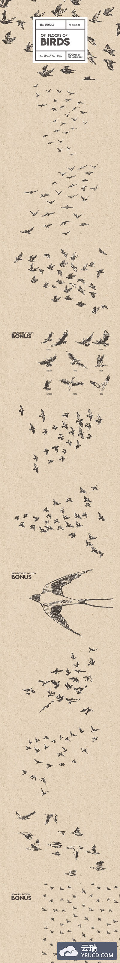 小鸟素描插画素材 Flocks of birds, sketch style