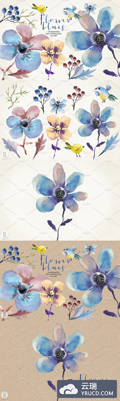 蓝色花卉素材插画 Aquarelle blue flowers
