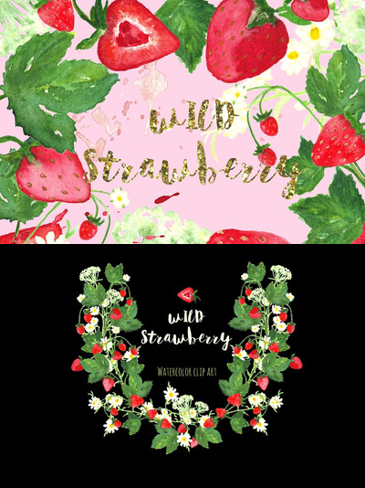 野草莓水彩花卉剪贴画 Wild strawberry watercolor clipart
