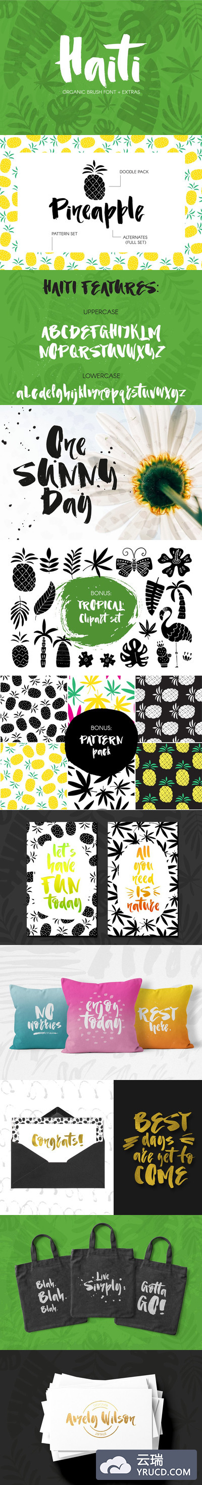 粗狂手绘笔刷字体 Haiti Organic Brush Font +Extras