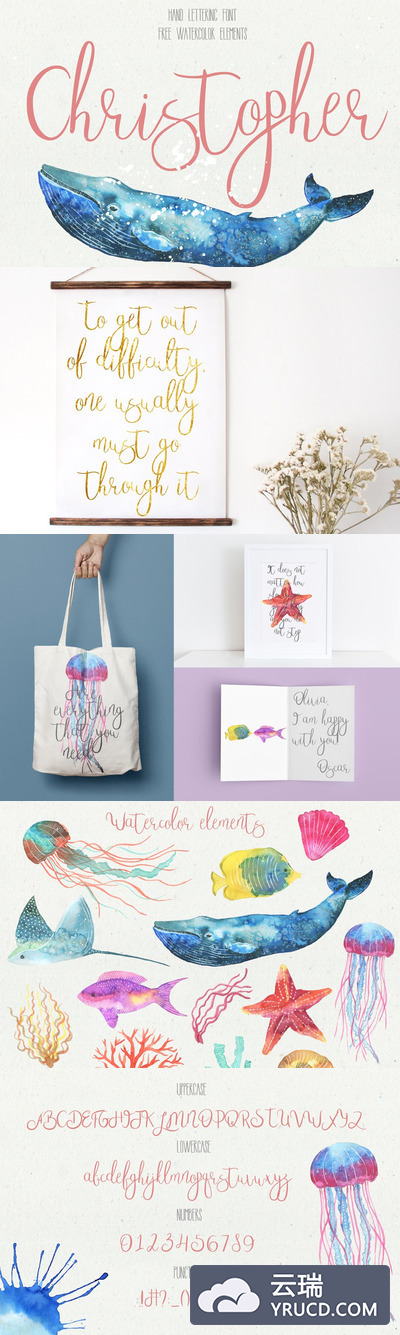 手写艺术签名字体 Christopher Script Font Pro