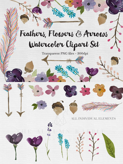 水彩花卉素材插画 Watercolor Feather, Flowers & Arrows