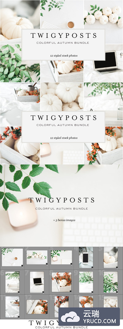 五彩缤纷的秋季库存照片包 Colorful Autumn Stock Photo Bundle