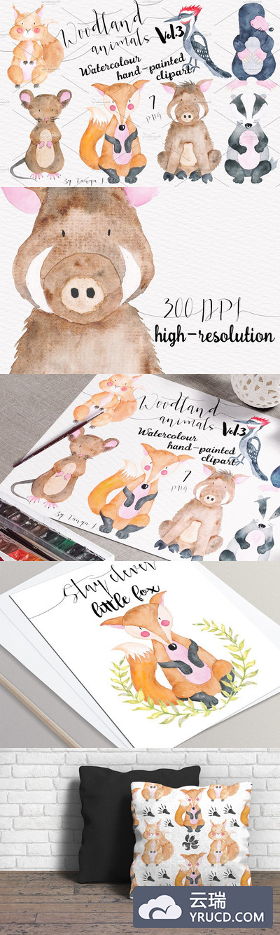 森林动物插画 Woodland animals Vol.3 Set