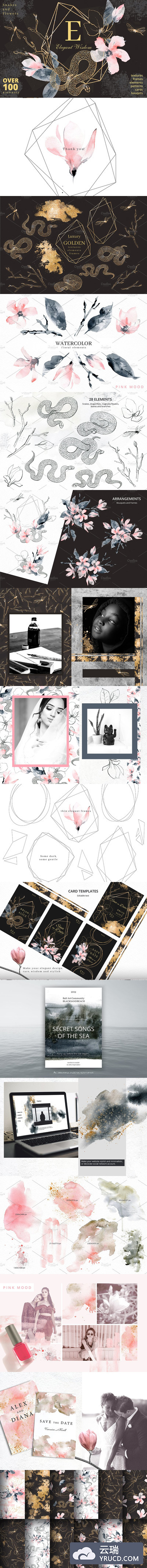 精美优雅的水彩元素插图合集