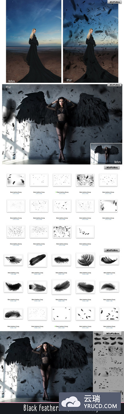 迷人堕落的天使黑色羽毛叠层