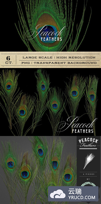 孔雀羽毛图形 Peacock Feathers