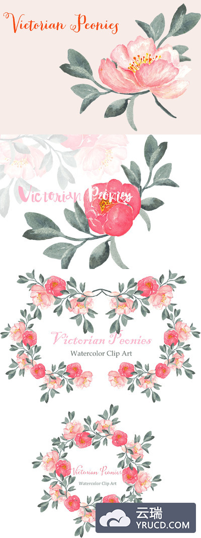 维多利亚时期的牡丹水彩剪贴画 Peony Victorian Watercolor Clipart
