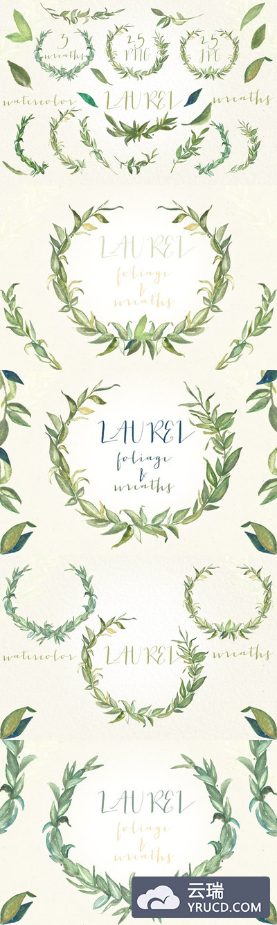 月桂叶花环插图 Laurel foliage wreaths illustrations