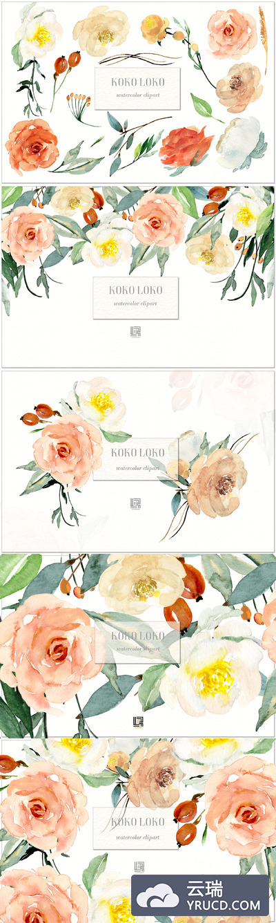 水彩花卉素材 Koko Loko. Watercolor floral clipart