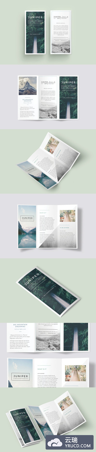 时尚简约画册模板 J U N I P E R  Trifold Brochure