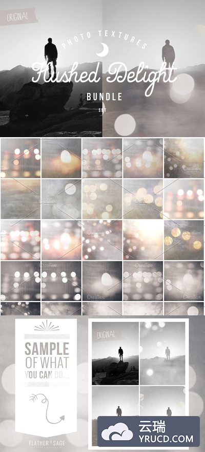 镜头晕景背景纹理 Hushed Delight Texture Overlays