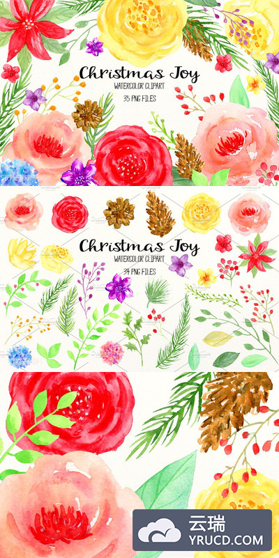 水彩圣诞节花卉插画元素 Watercolor Clipart  Christmas Joy