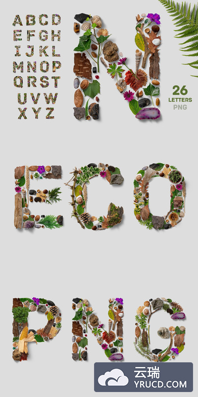 震撼的高品质少见稀有的植物树木树叶石头花朵树皮自然元素组成的英文字母表英文字体