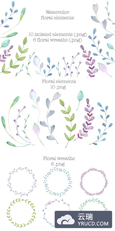 水彩花卉元素 Watercolor floral elements
