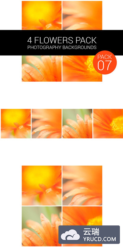 花卉背景包 Flower Pack 07