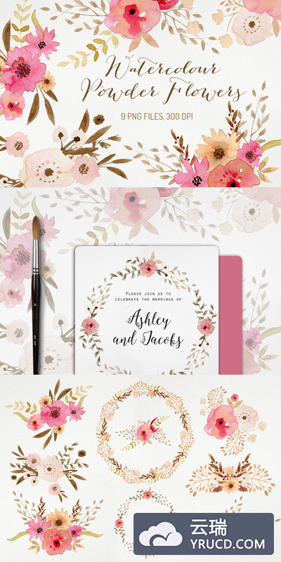 水彩花卉素材插画 Watercolour Powder Flowers