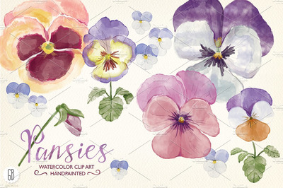 水彩花卉素材 Watercolor hand painted pansies
