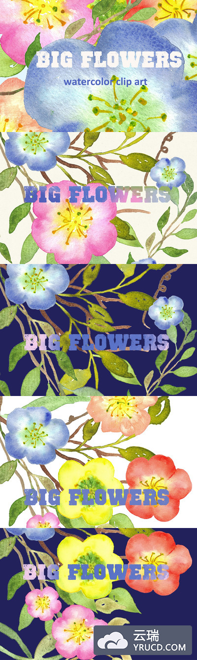 水彩花卉肌理纹理 Big Flowers watercolor clipart