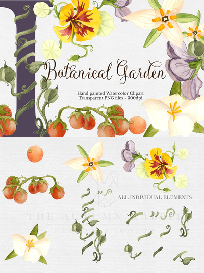 植物水彩集 Botanical Watercolor Set