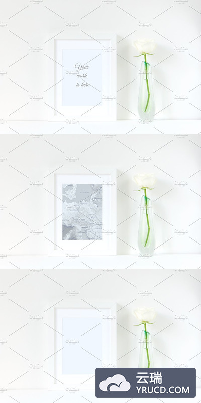 白色画框样机模型 Frame mockup with rose