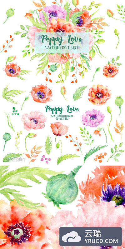 创意水彩花卉爱心 Watercolor Poppy Love