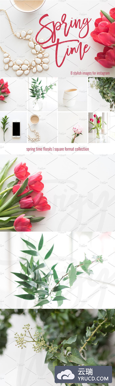 高雅的花卉图片 Stock Photos | 8 Floral Images