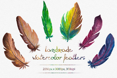水彩羽毛素材插画 Watercolor Feathers