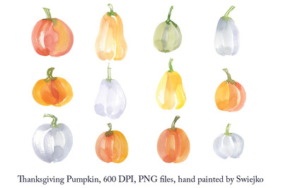感恩节南瓜插画 Thanksgiving pumpkin set
