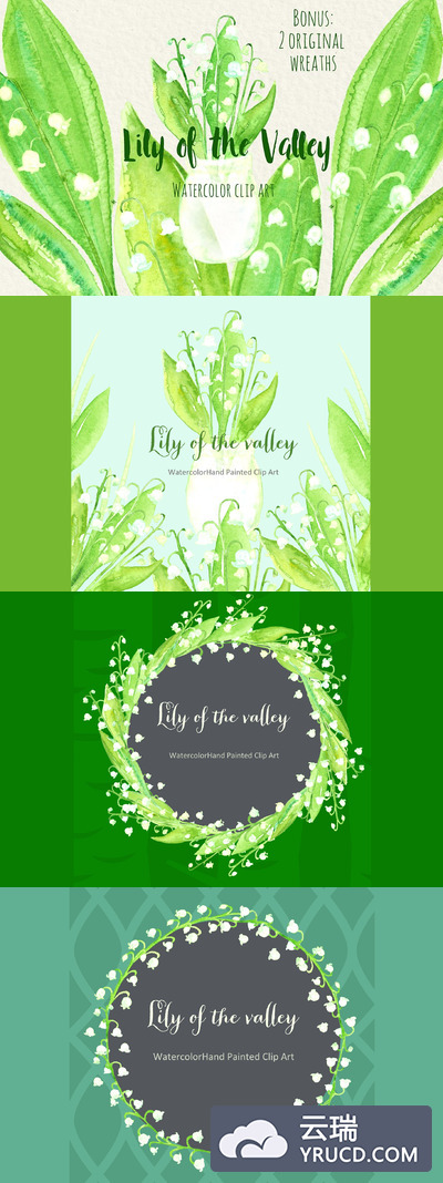 水彩百合花插画 Lily of the valley watercolor