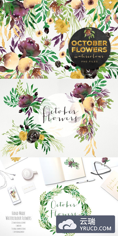 花卉素材插画 October Flowers