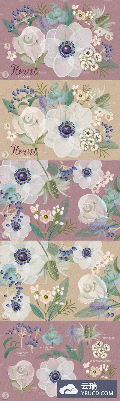 水彩花卉插画素材 Watercolor florist bouquet anemone