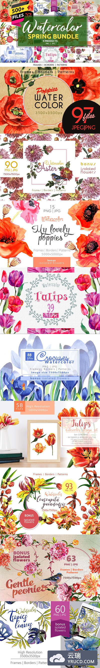 春天花卉水彩元素插图合集