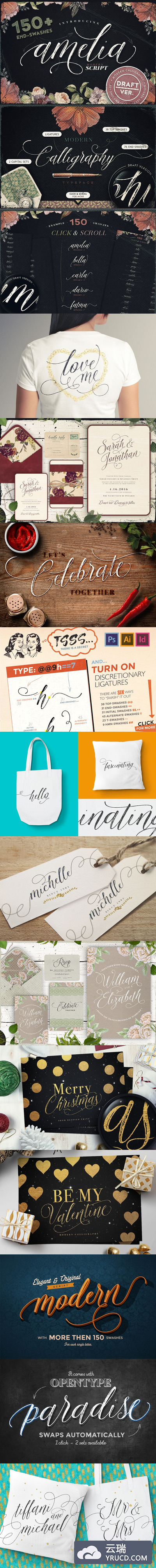 时尚手写字体大全 Amelia Script - Draft version