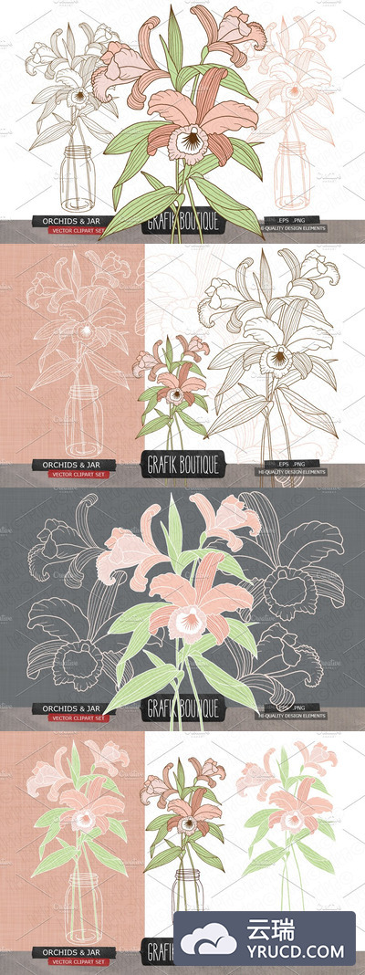 花卉素材剪贴画 Orchids mason jar vector clip art