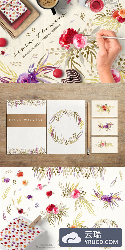 手绘花卉素材插画 Sepia Flowers