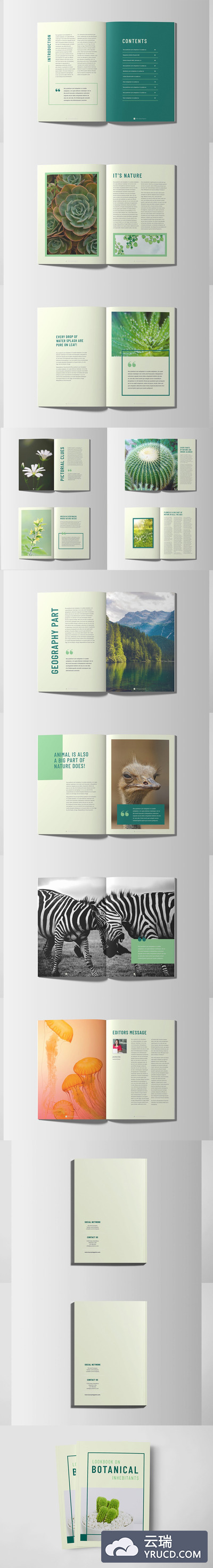 绿色植物学知识手册设计