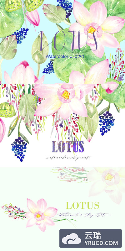 水池荷花素材插画 Pink Lotus. Watercolor Clipart.
