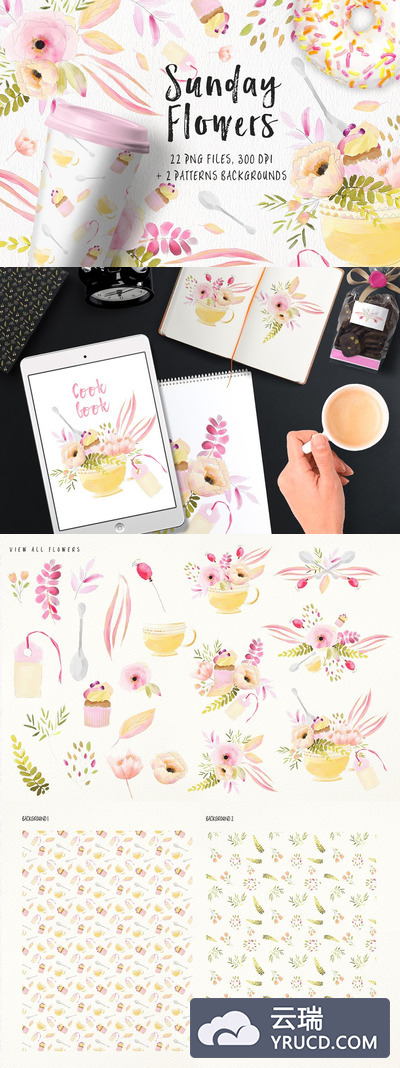 清新淡雅的水彩花卉插画素材 Sunday's Flowers