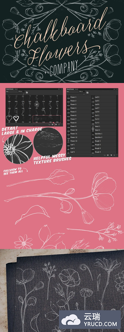 黑板花卉笔刷 Chalkboard Flowers & Company
