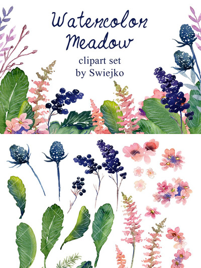 水彩花卉插画 Watercolor floral set