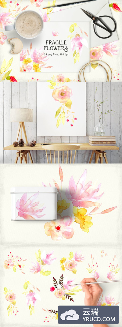 水彩花卉素材插画 Fragile Flowers