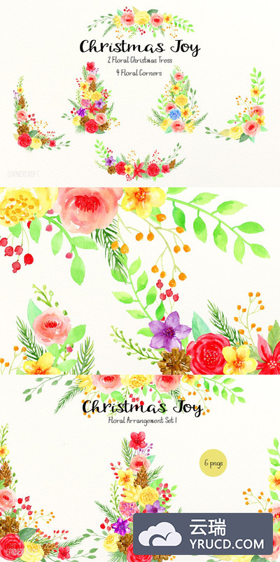 圣诞节花卉插画 Christmas Floral Arrangement