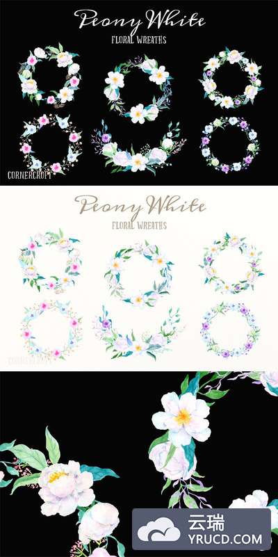 水彩白牡丹花圈 Watercolour White Peony Wreath