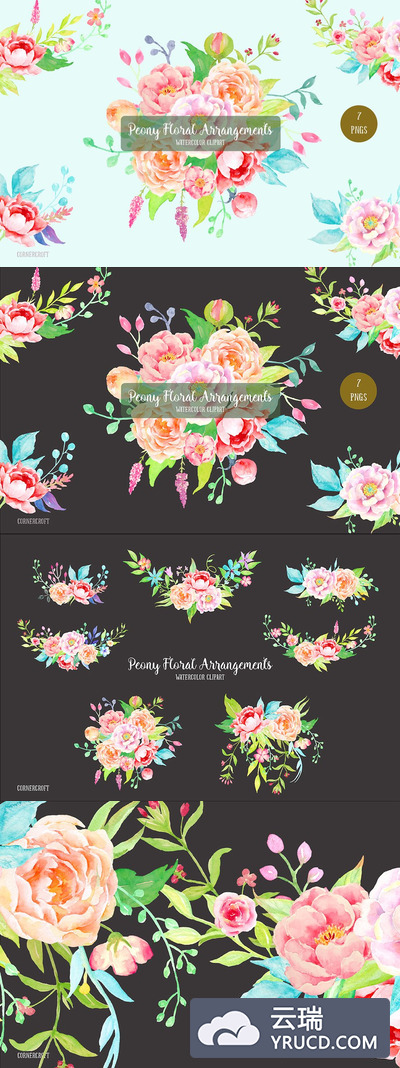水彩牡丹插画 Watercolor Poeny Compositons